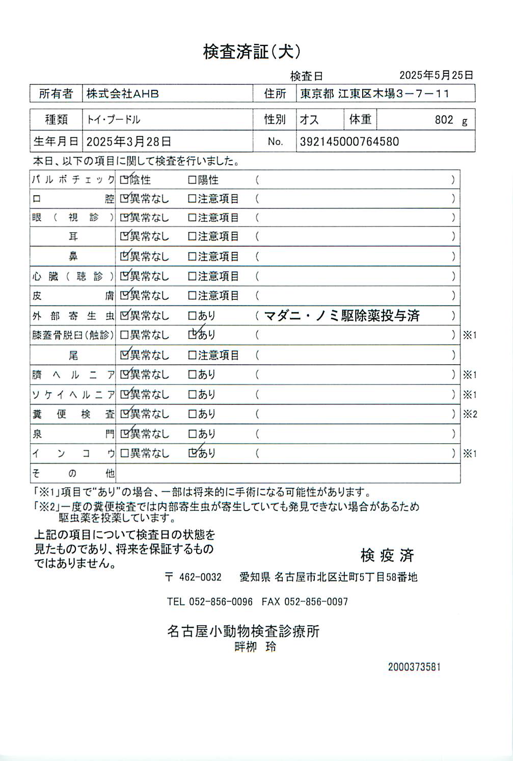 トイ・プードル