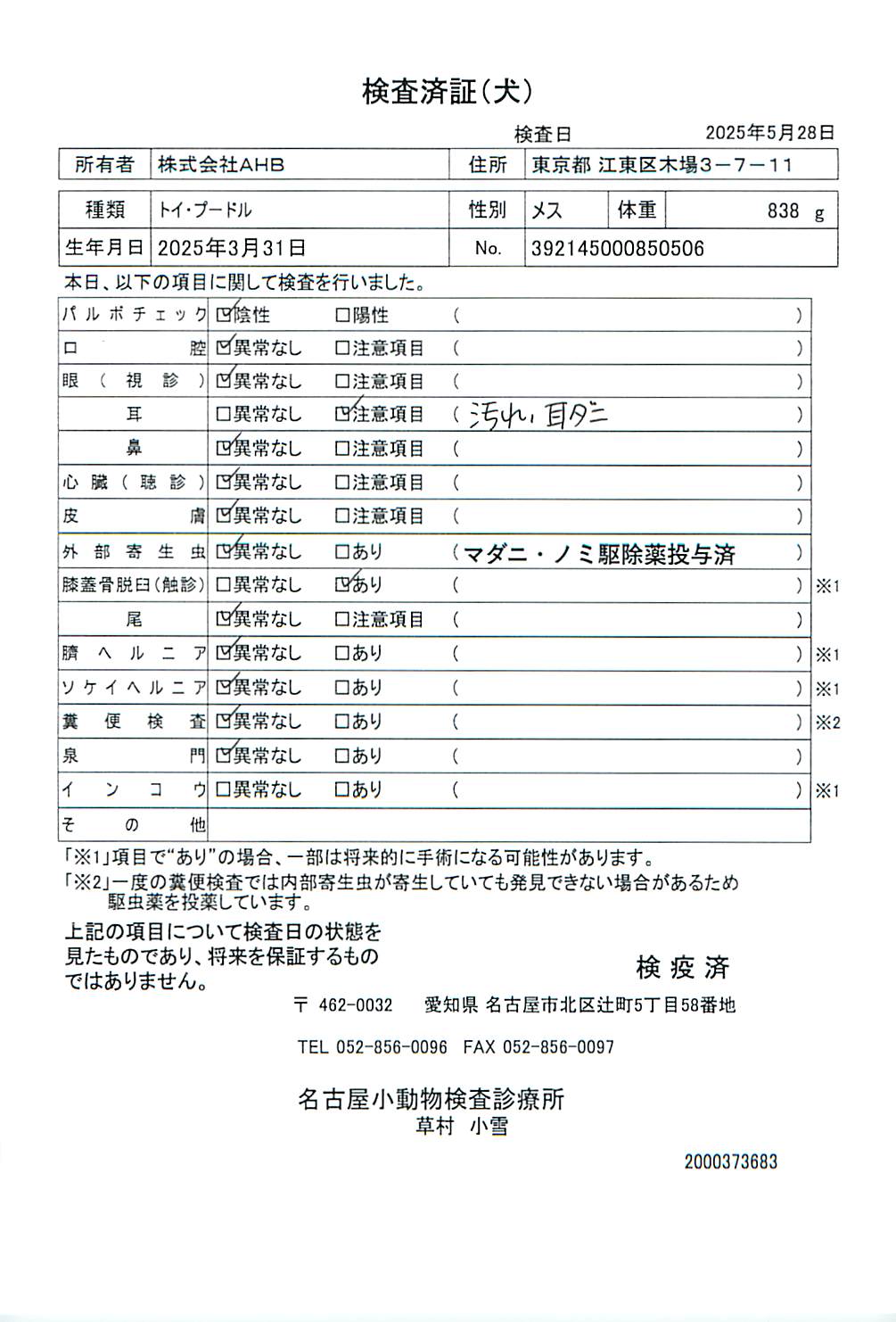 トイ・プードル