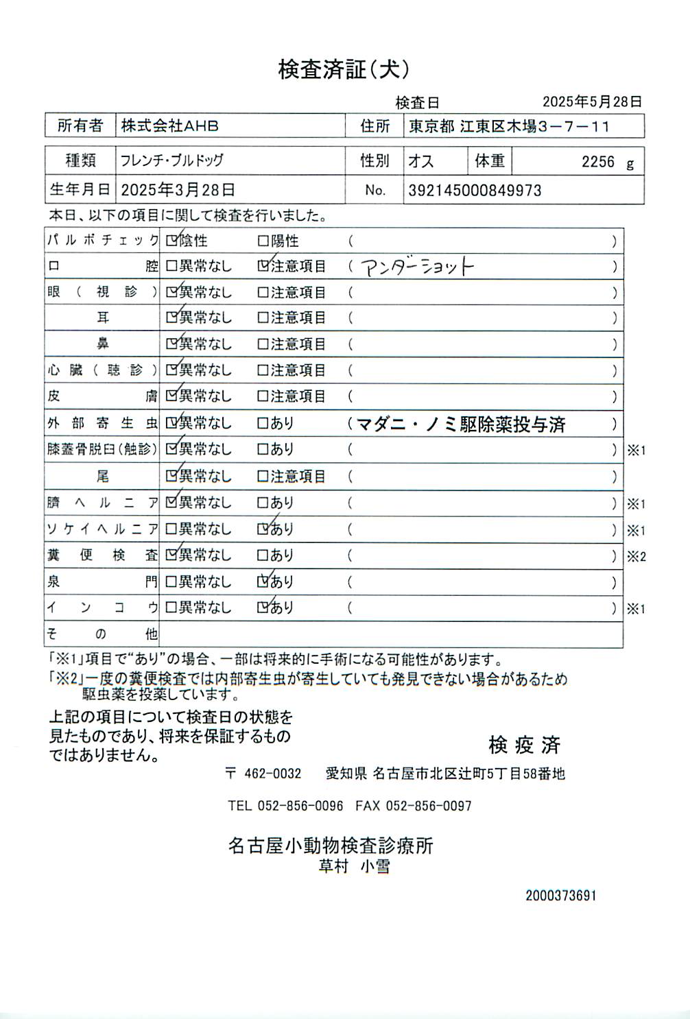 フレンチ・ブルドッグ