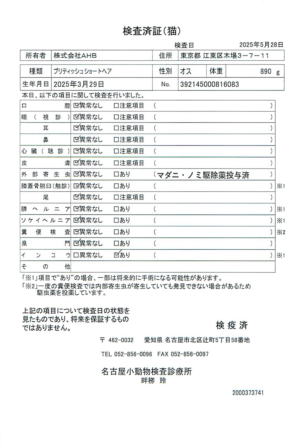 ブリティッシュショートヘア