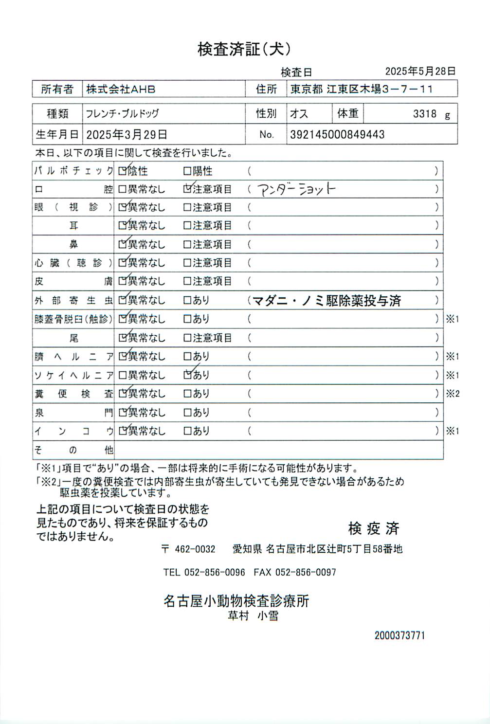 フレンチ・ブルドッグ