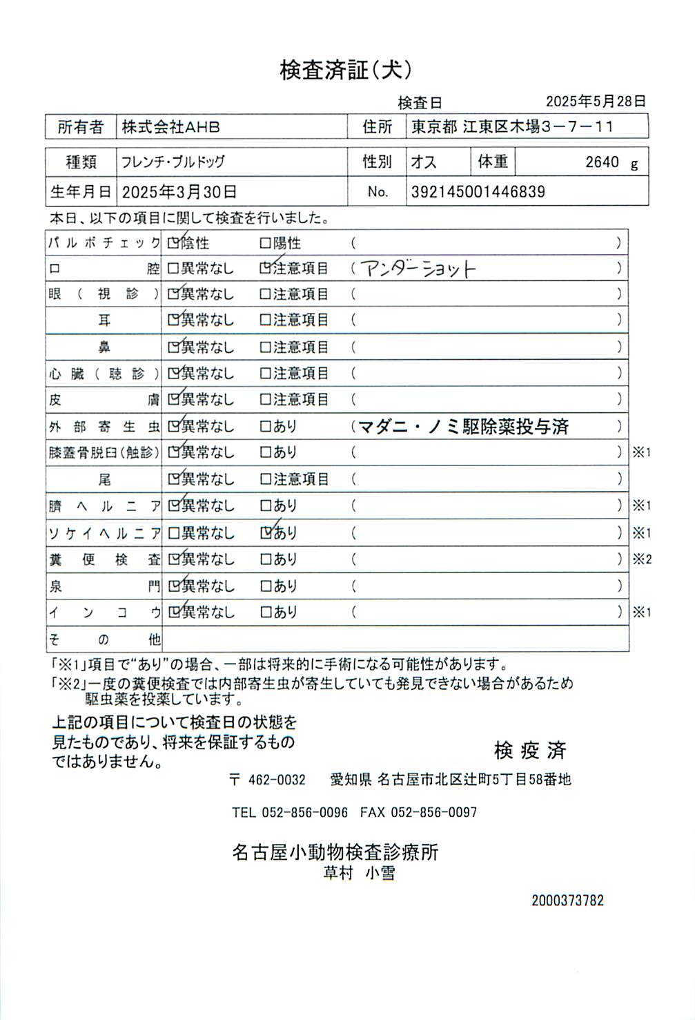 フレンチ・ブルドッグ