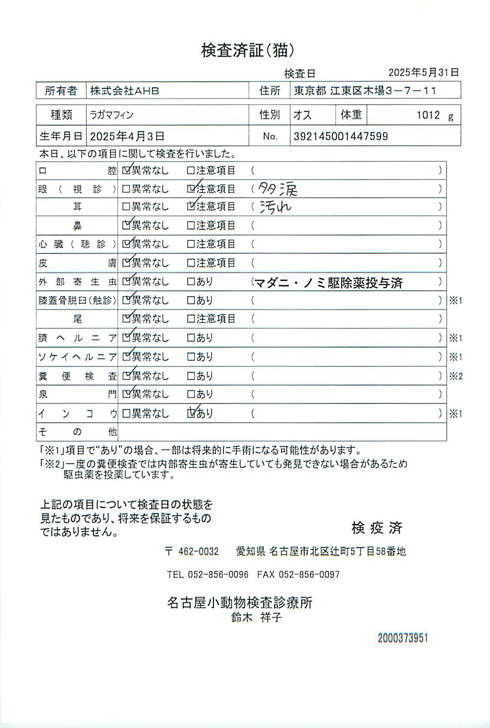 ラガマフィン
