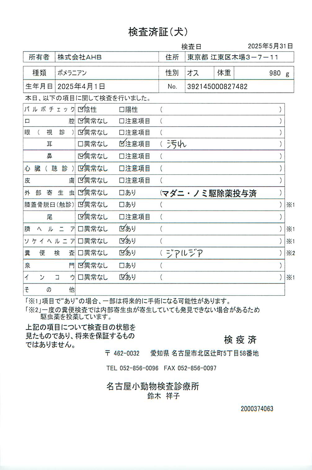ポメラニアン