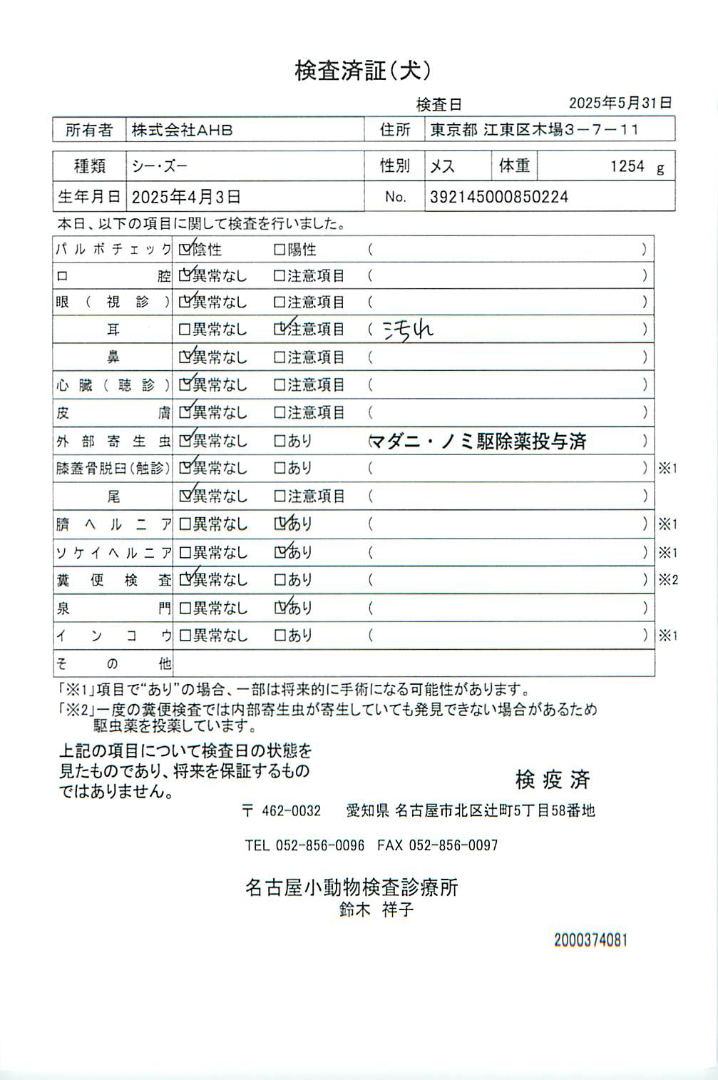 シー・ズー