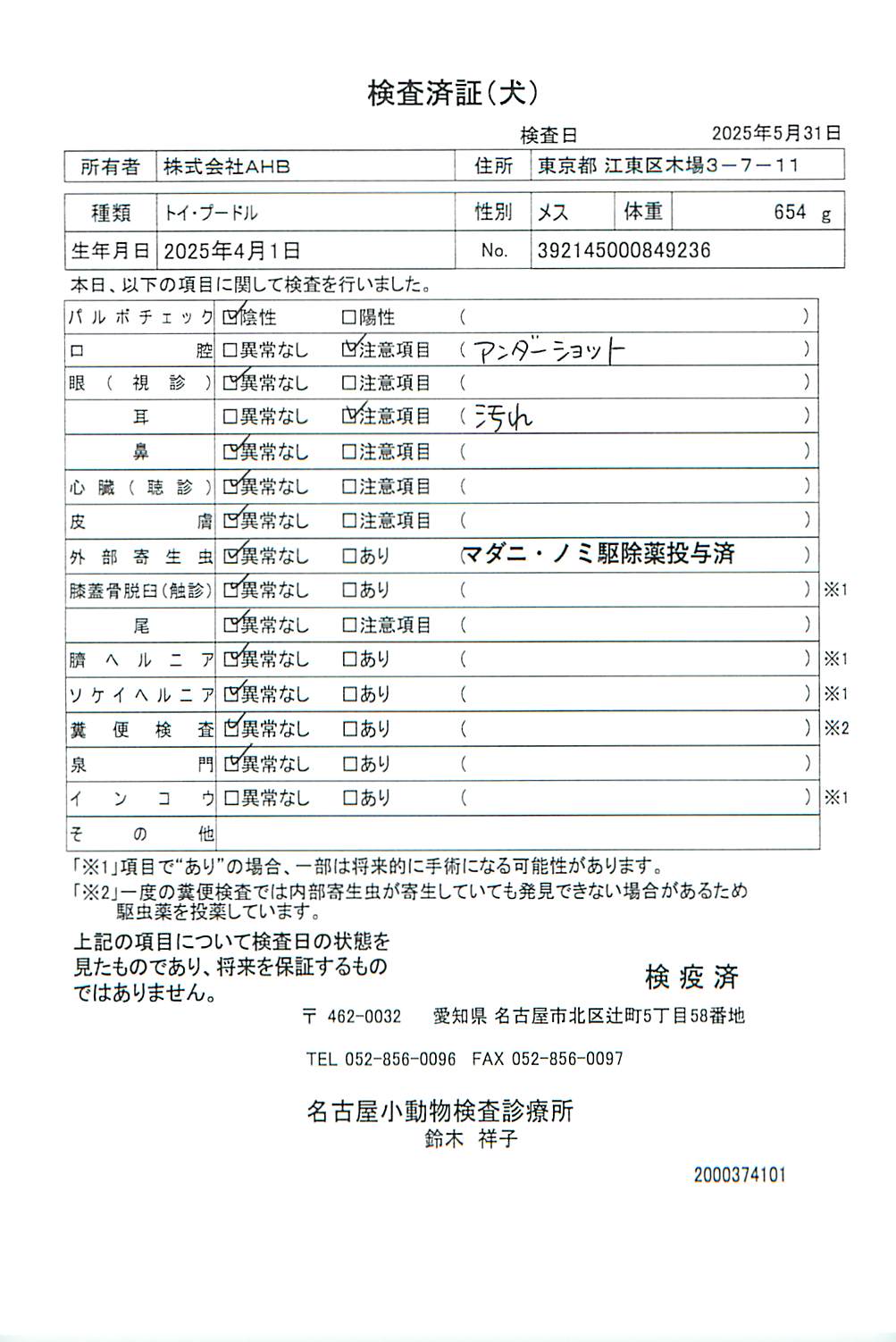 トイ・プードル