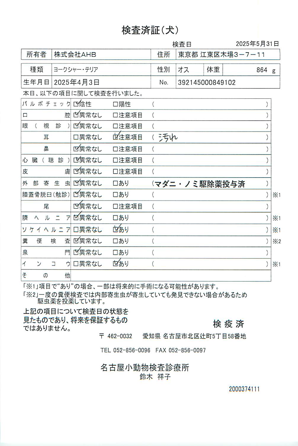 ヨークシャー・テリア