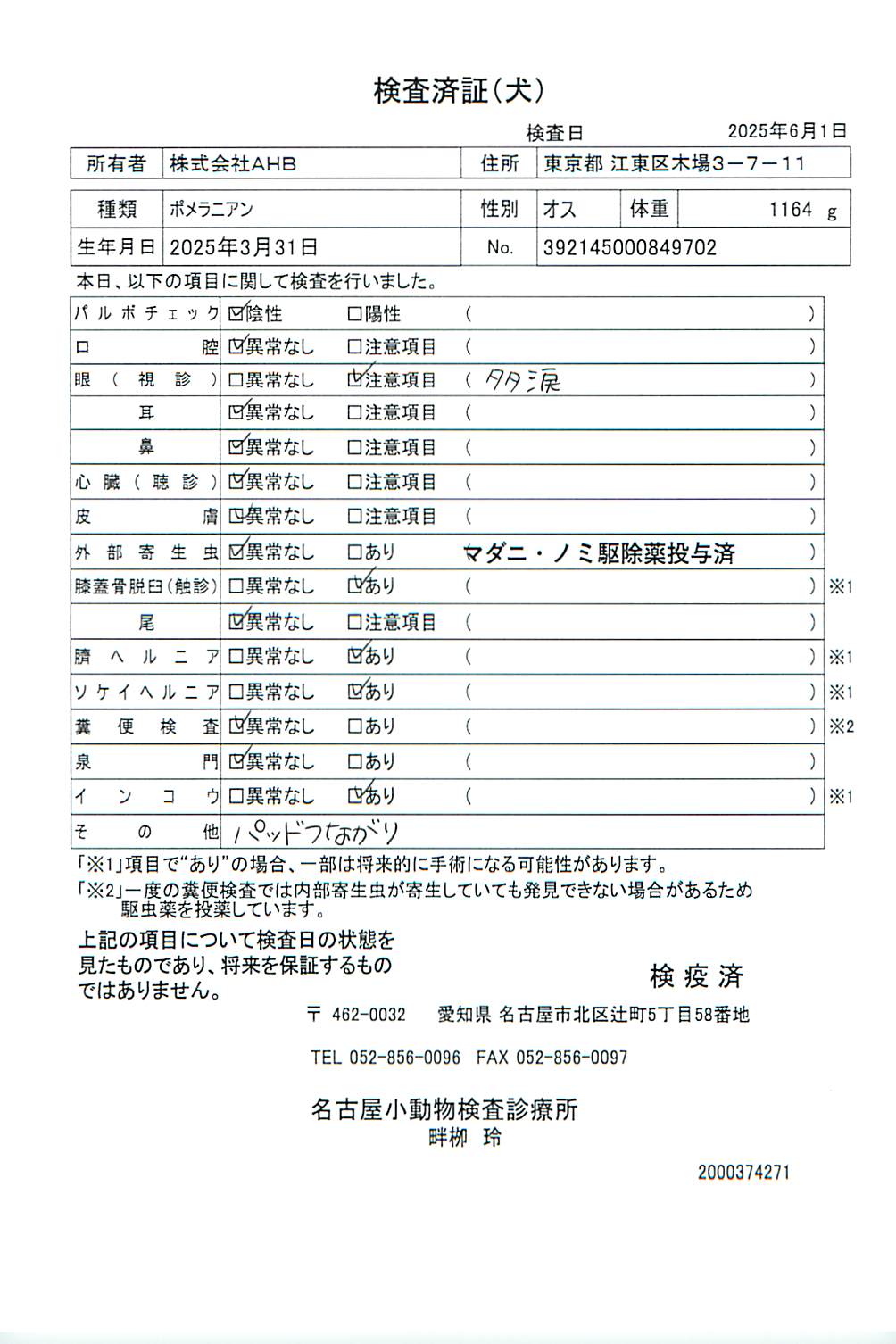 ポメラニアン