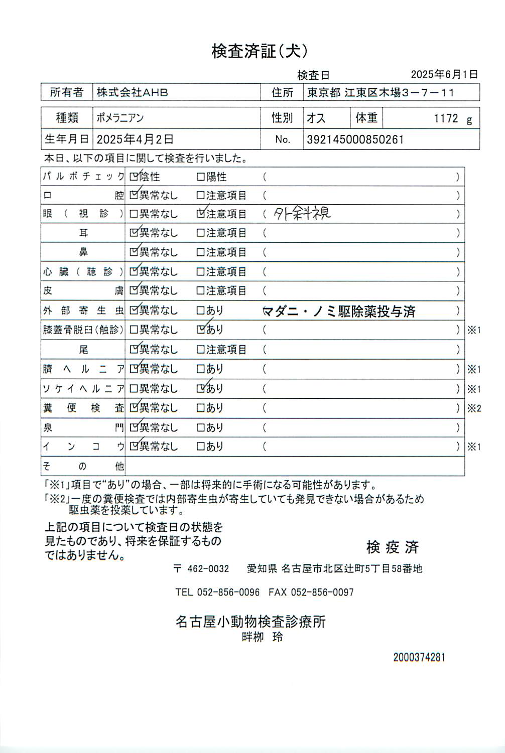 ポメラニアン