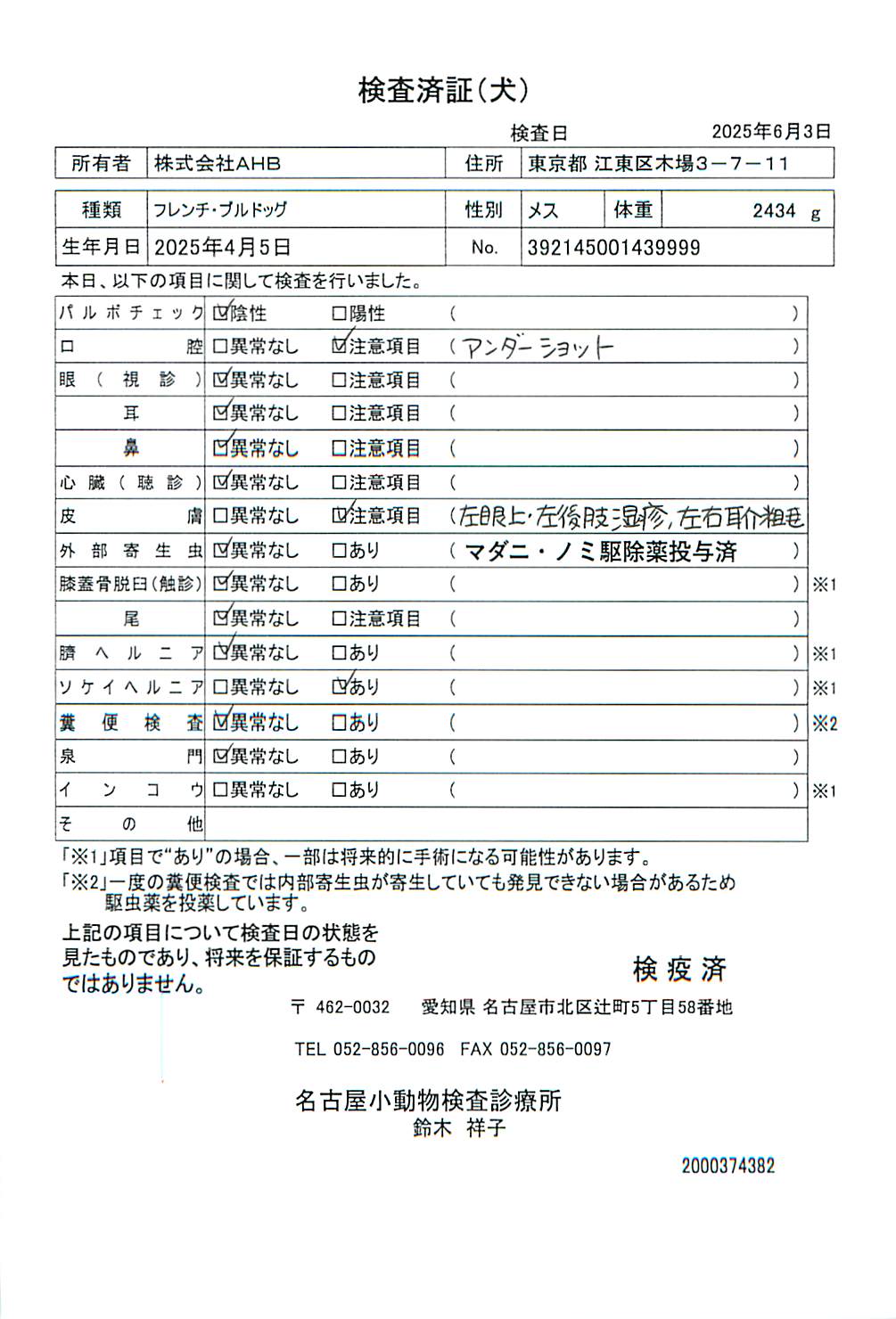 フレンチ・ブルドッグ