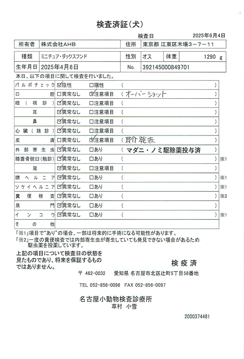 ミニチュア・ダックスフンド