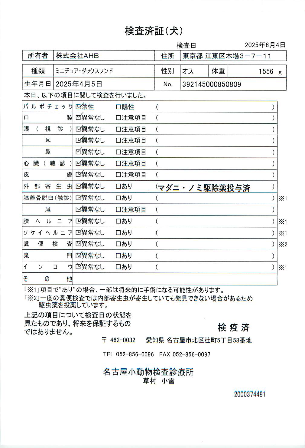 ミニチュア・ダックスフンド