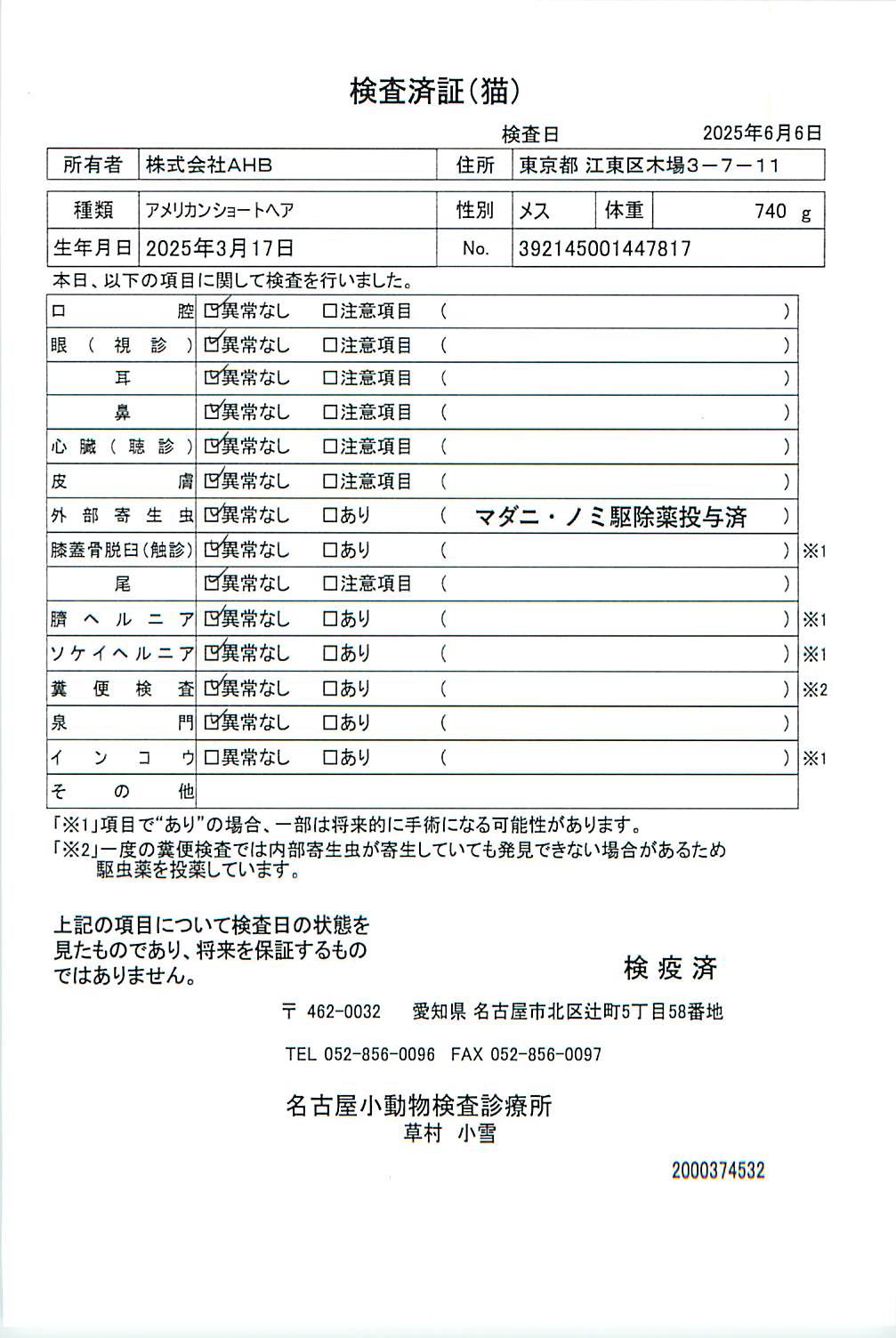アメリカンショートヘア