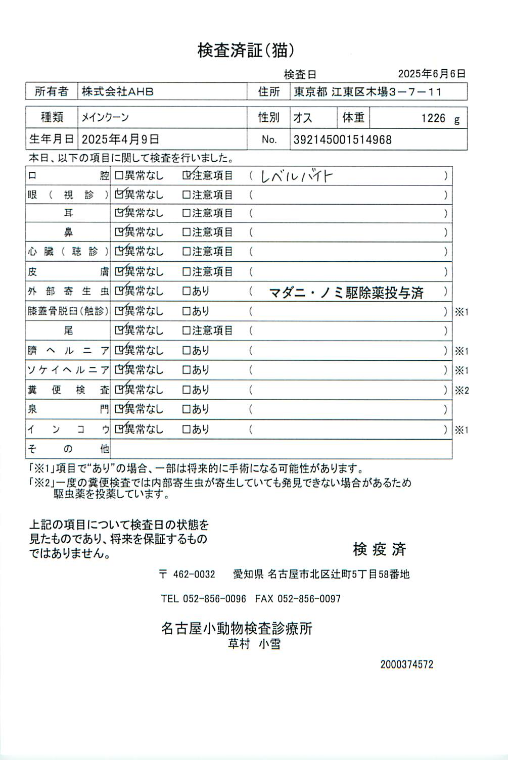 メインクーン