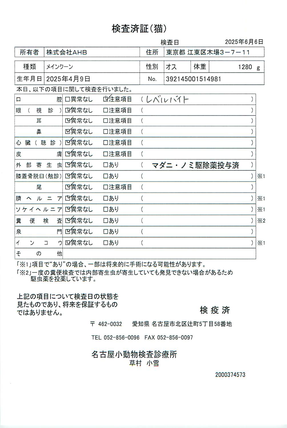 メインクーン