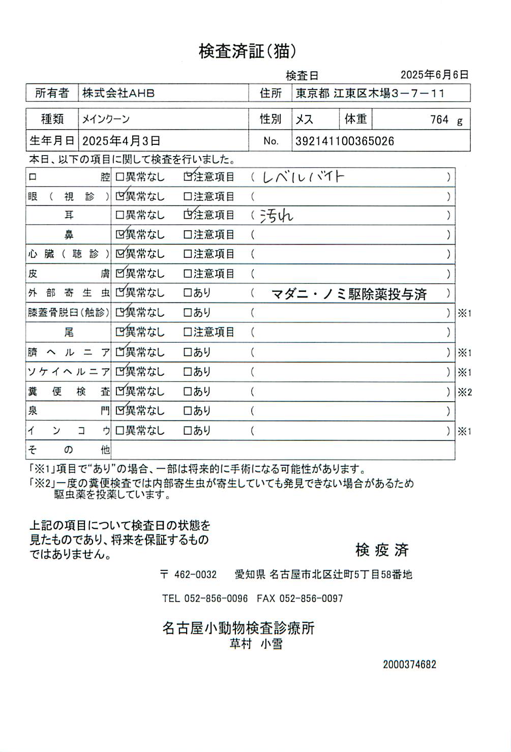 メインクーン