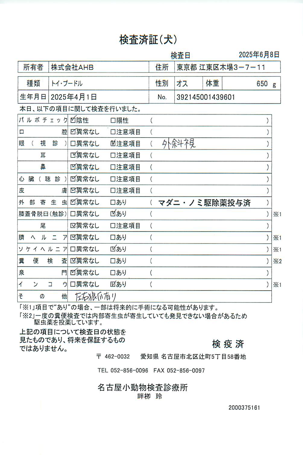 トイ・プードル