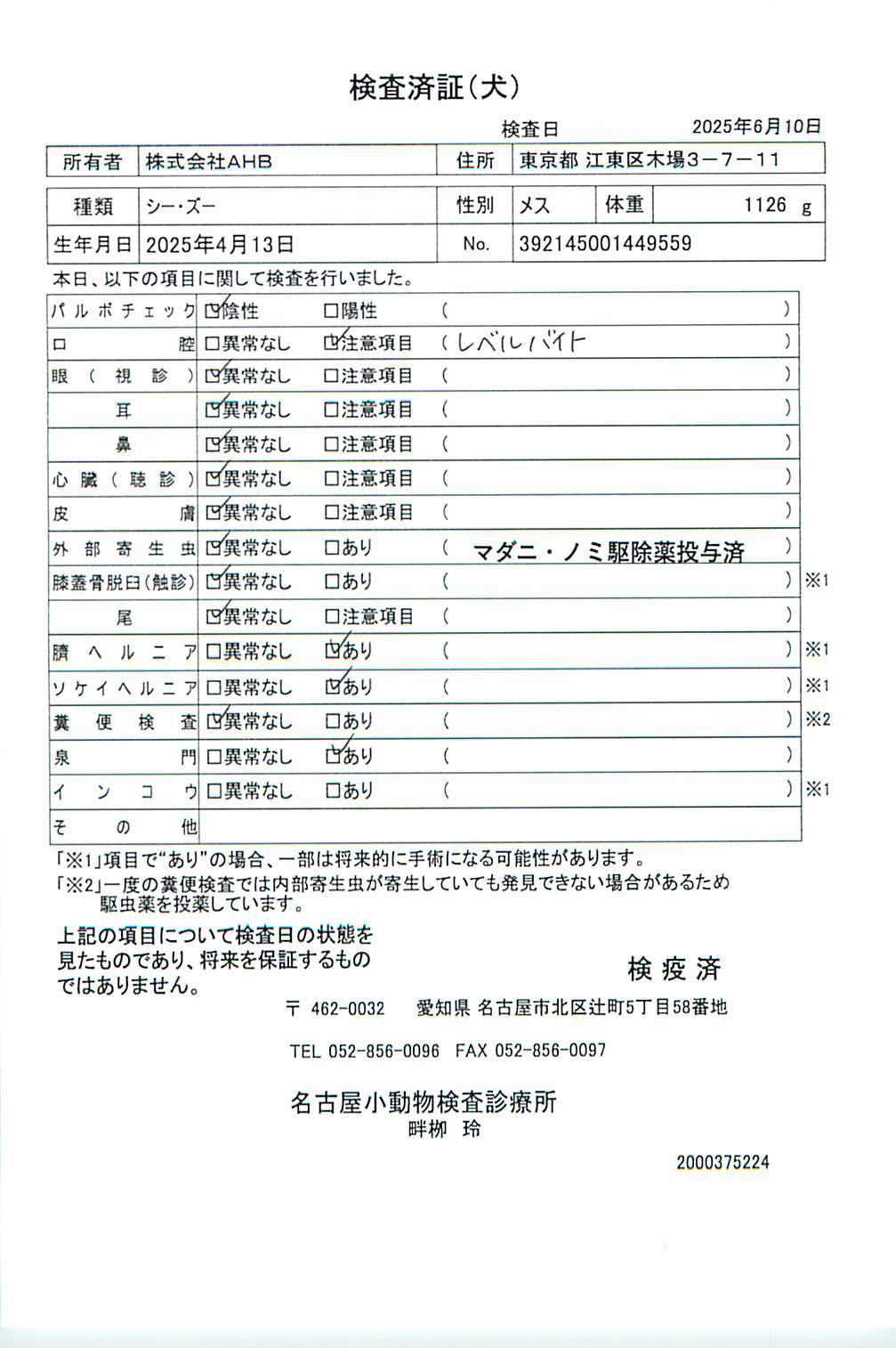 シー・ズー