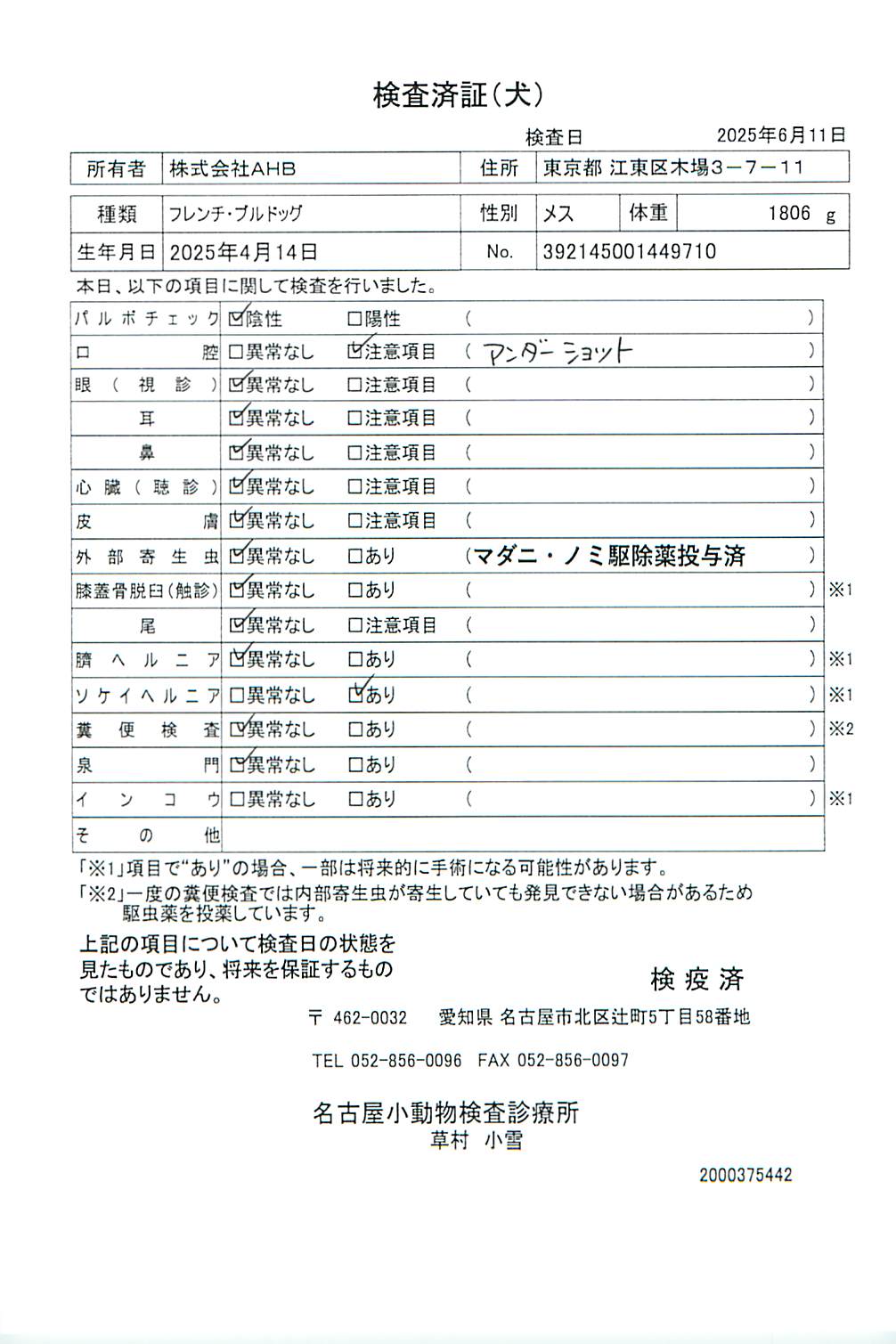 フレンチ・ブルドッグ