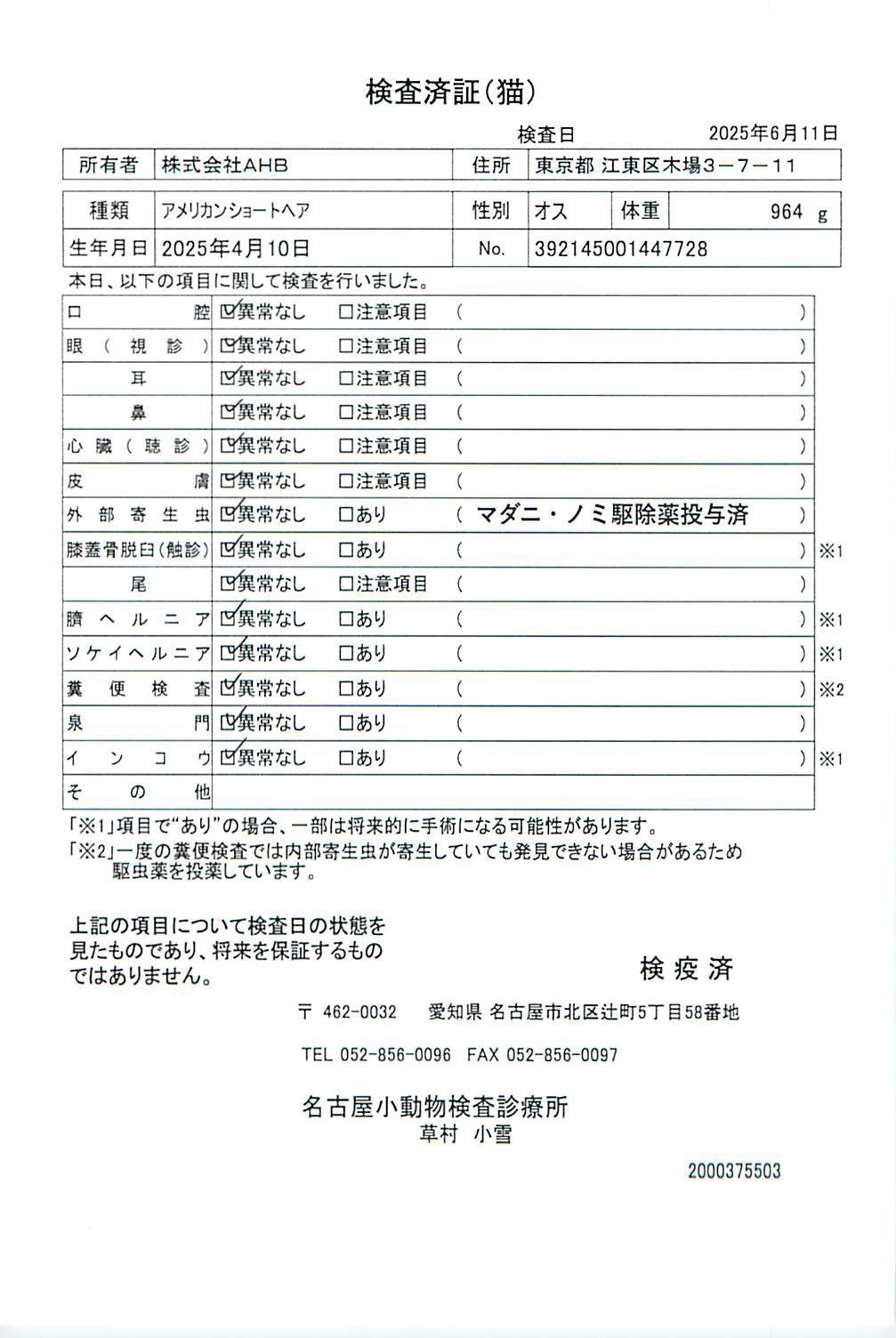 アメリカンショートヘア