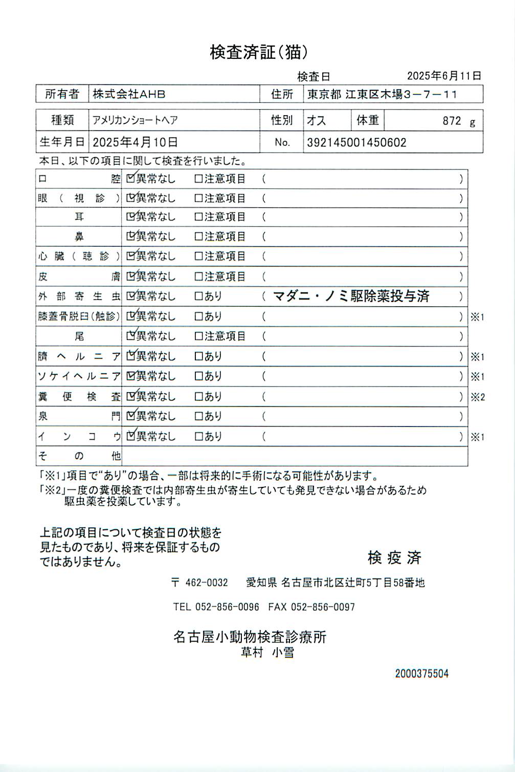 アメリカンショートヘア