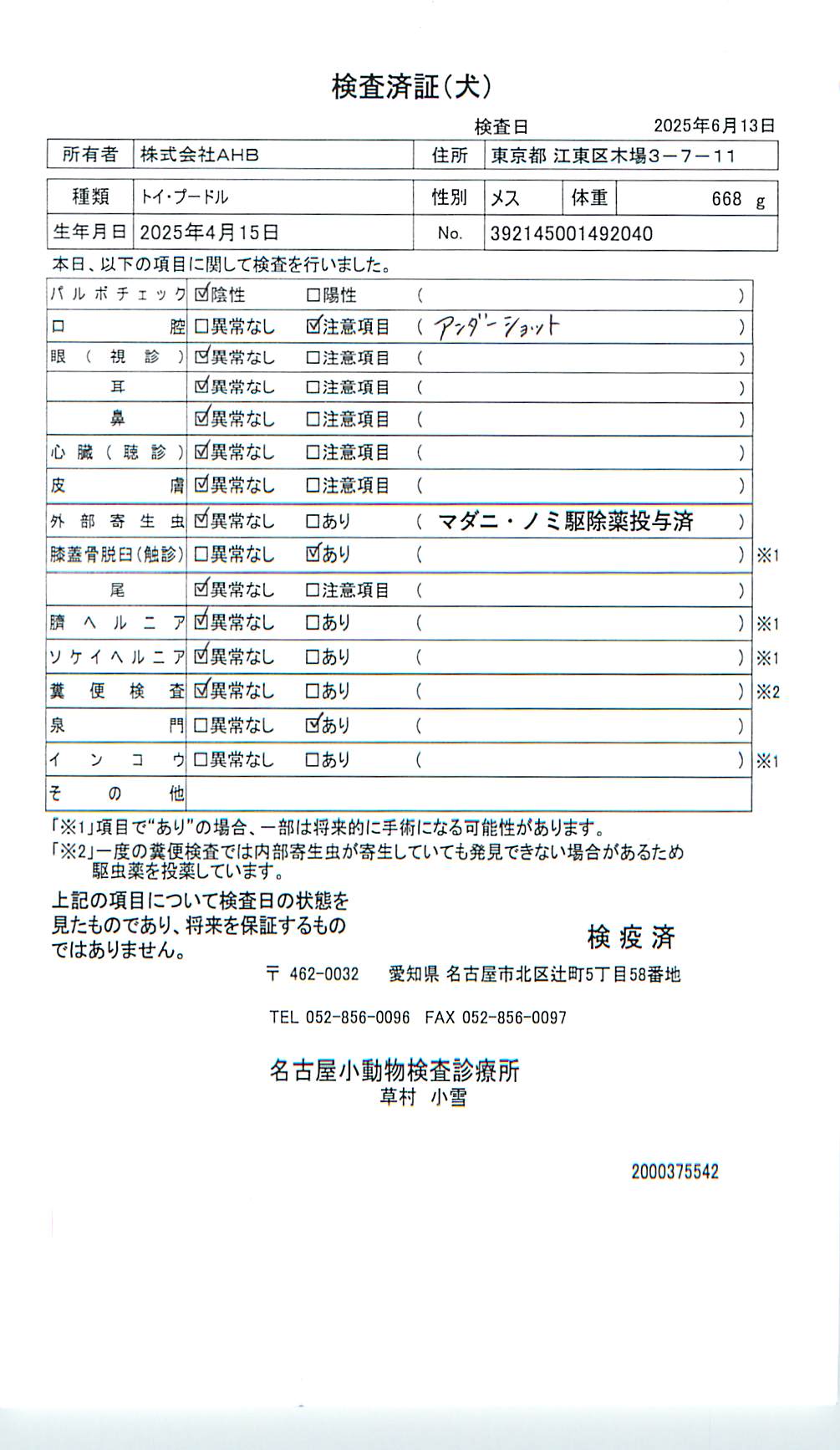 トイ・プードル