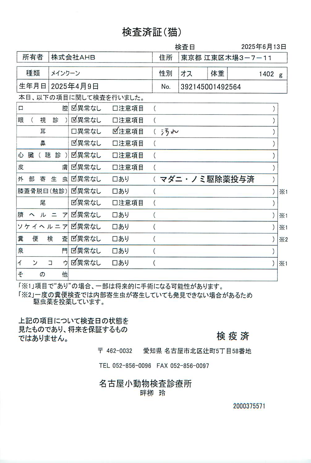 メインクーン