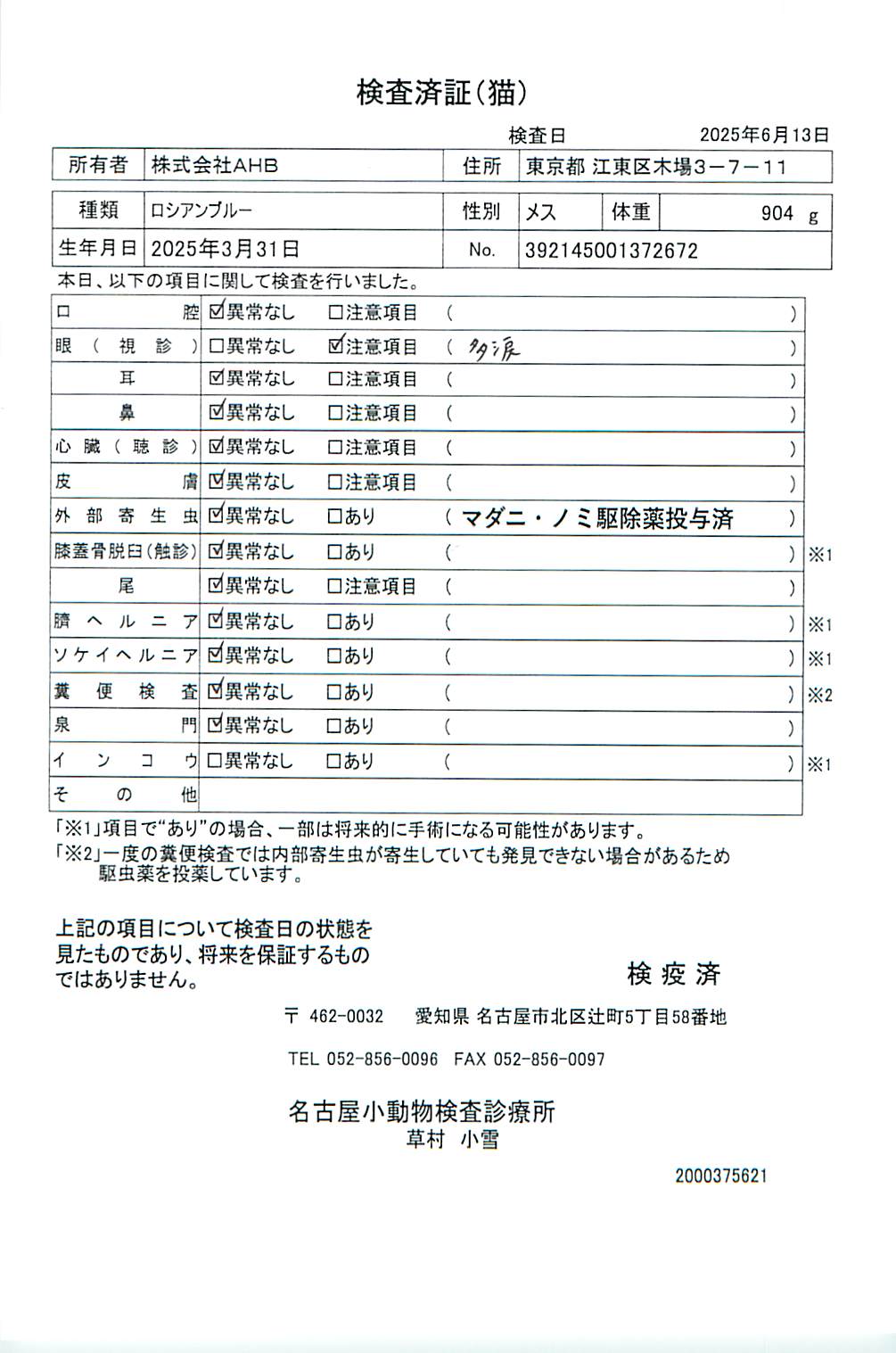 ロシアンブルー