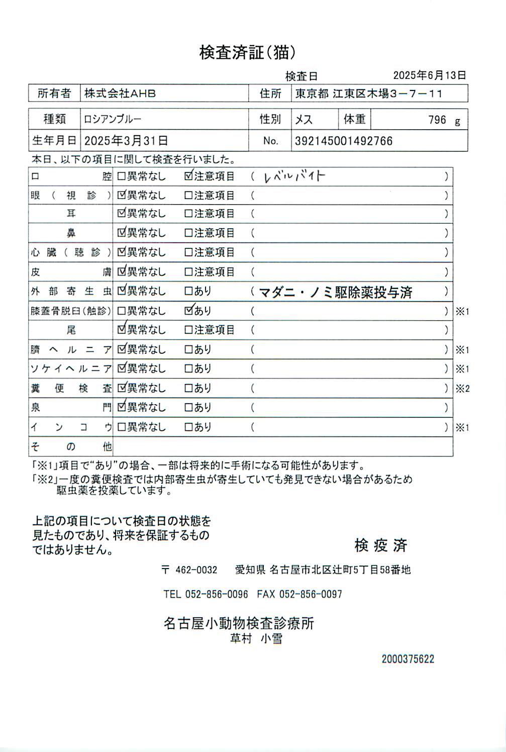ロシアンブルー