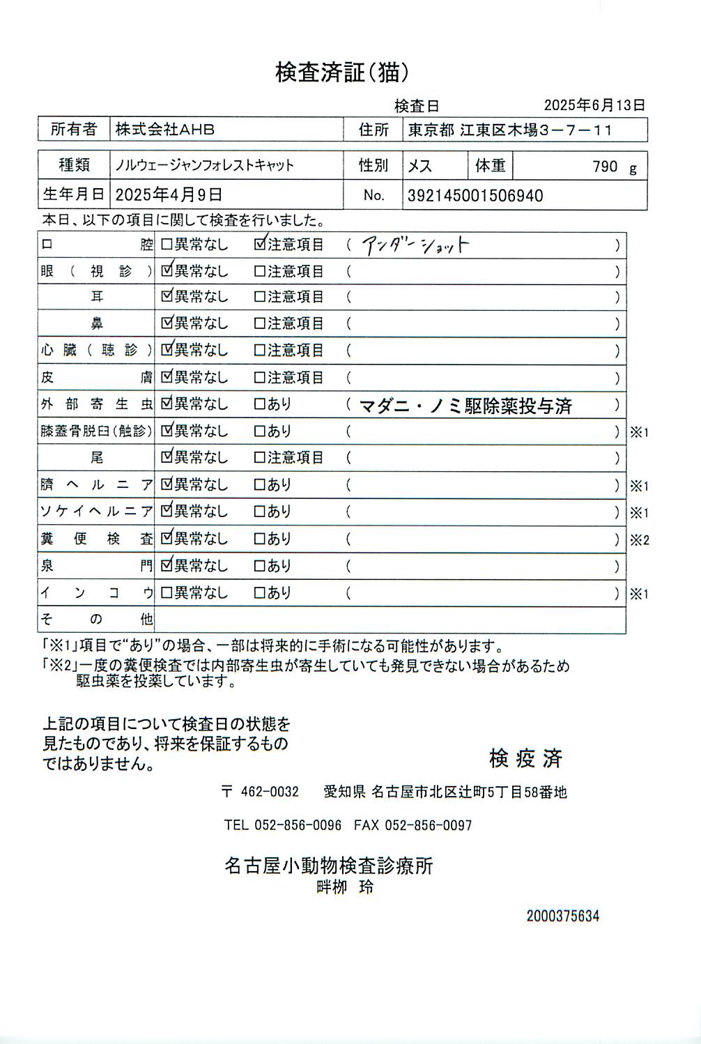 ノルウェージャンフォレストキャット