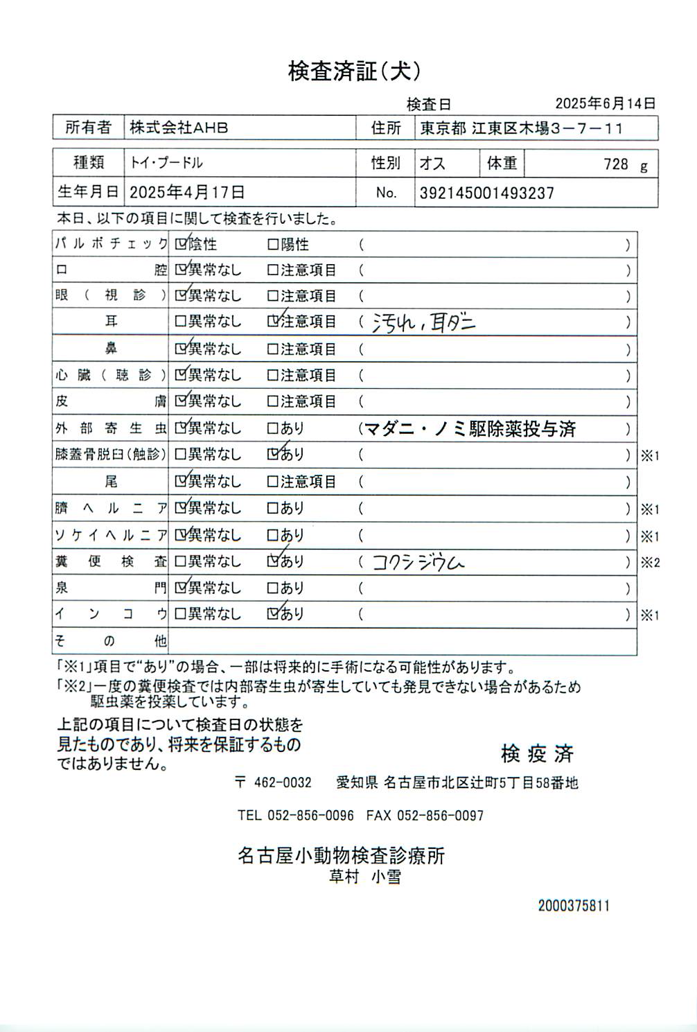 トイ・プードル