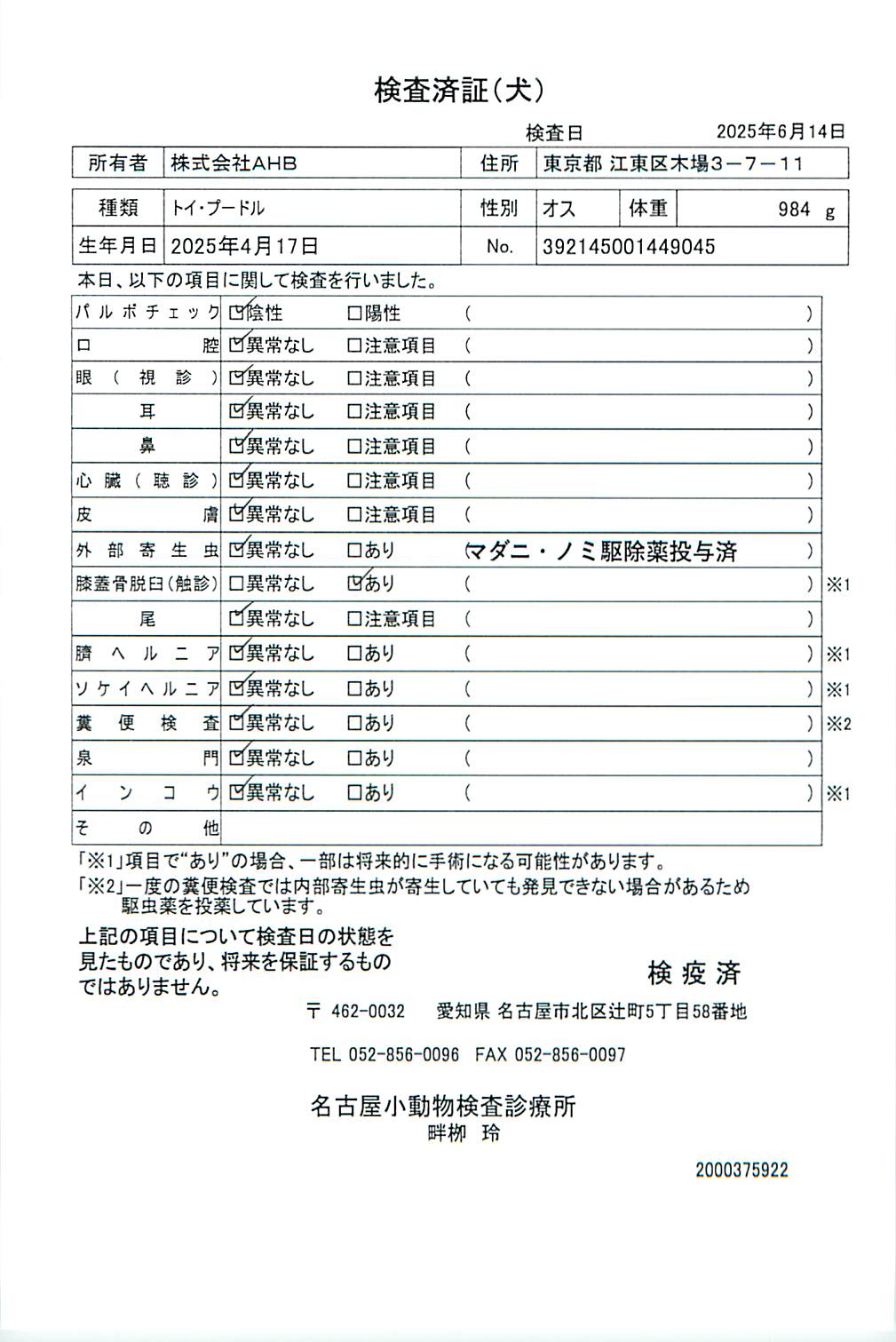 トイ・プードル