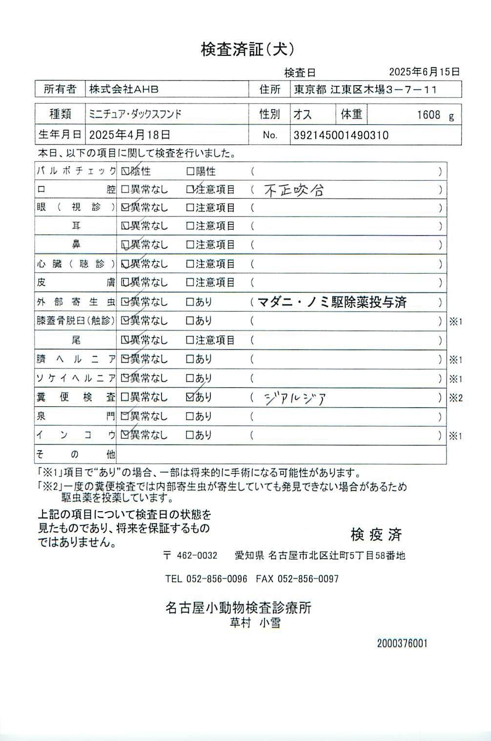 ミニチュア・ダックスフンド