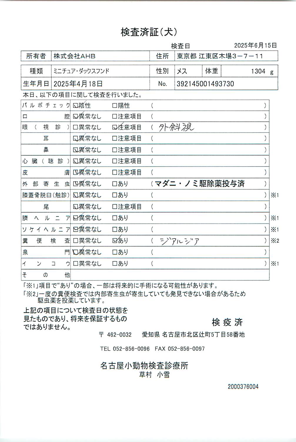 ミニチュア・ダックスフンド