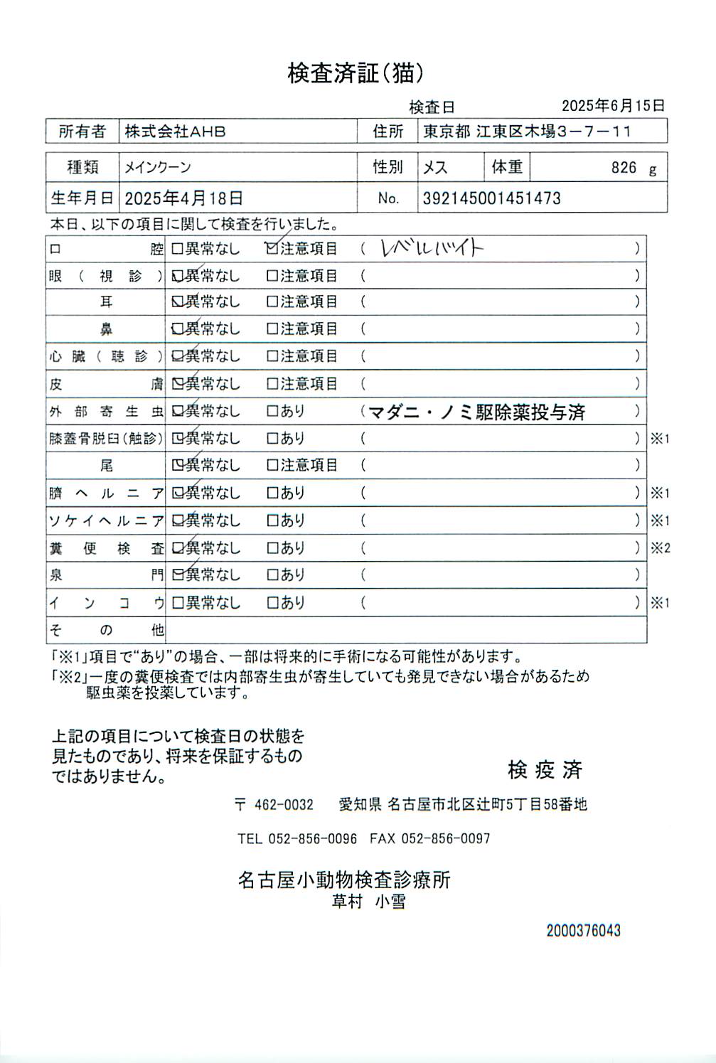 メインクーン