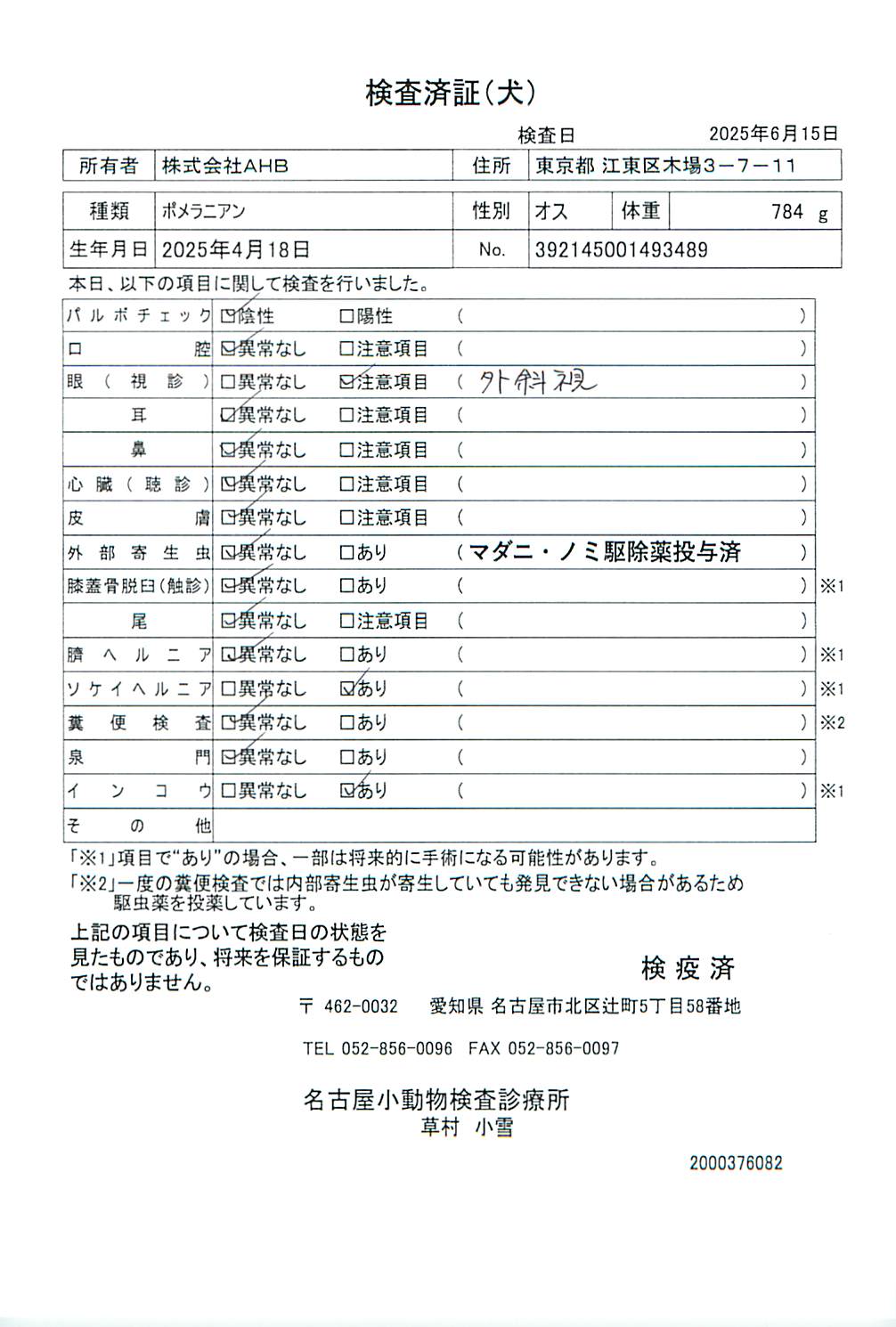 ポメラニアン