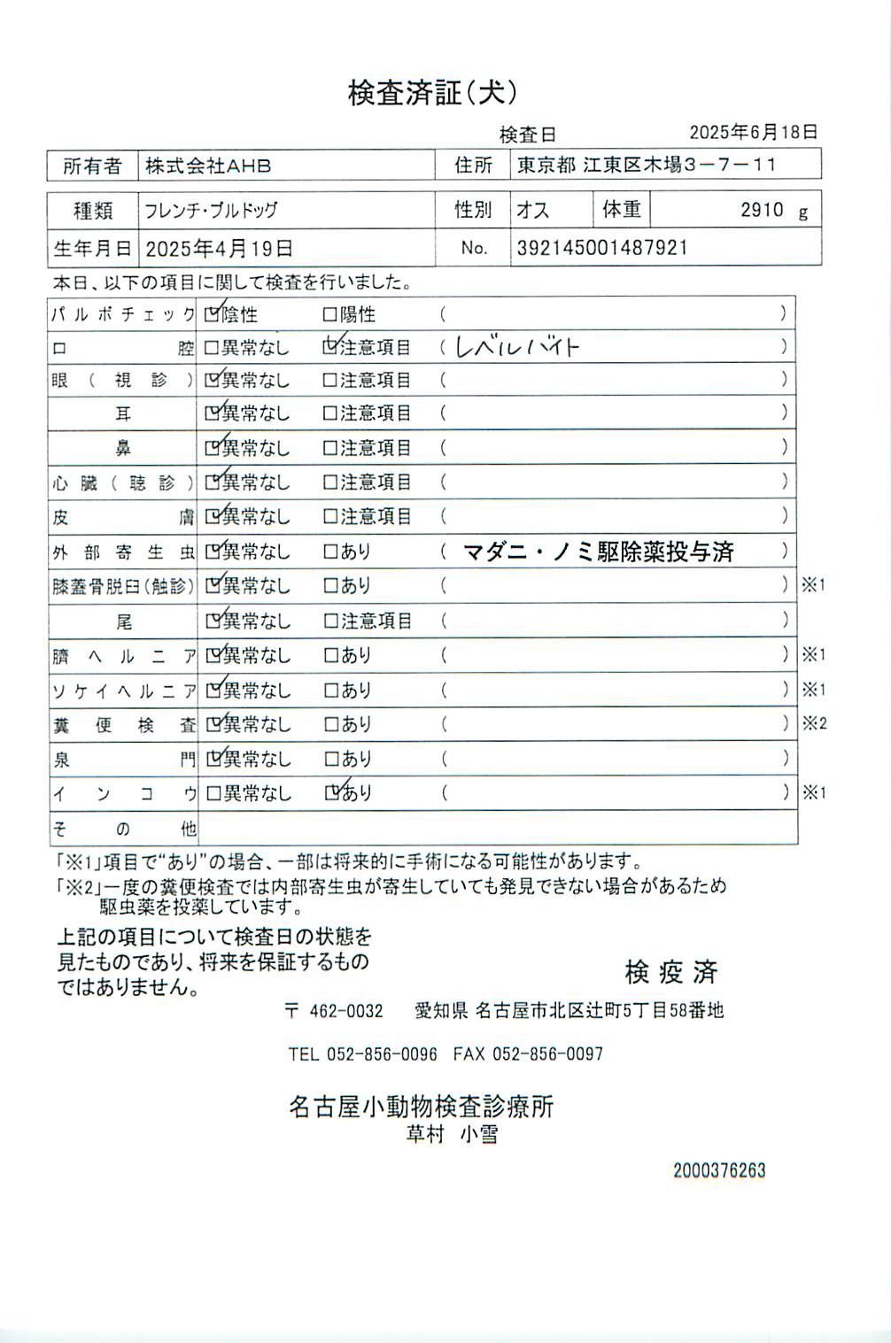 フレンチ・ブルドッグ
