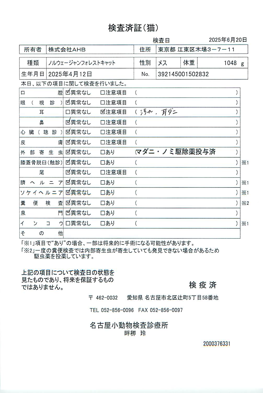 ノルウェージャンフォレストキャット