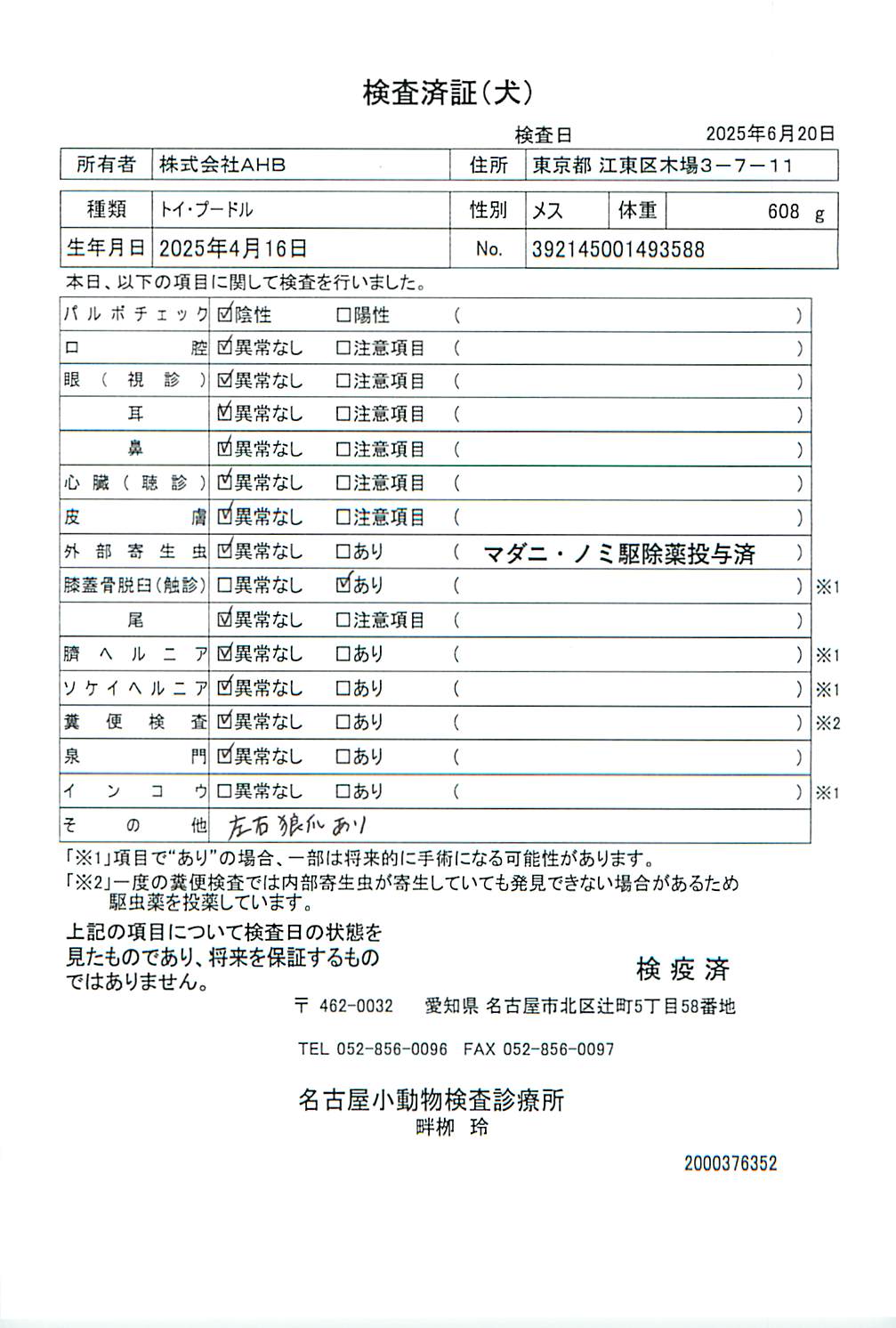 トイ・プードル