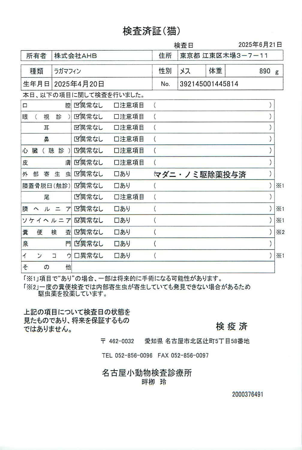 ラガマフィン