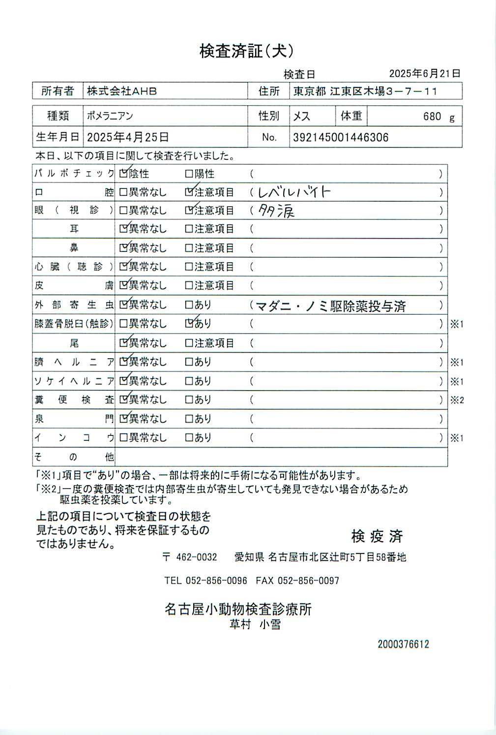 ポメラニアン