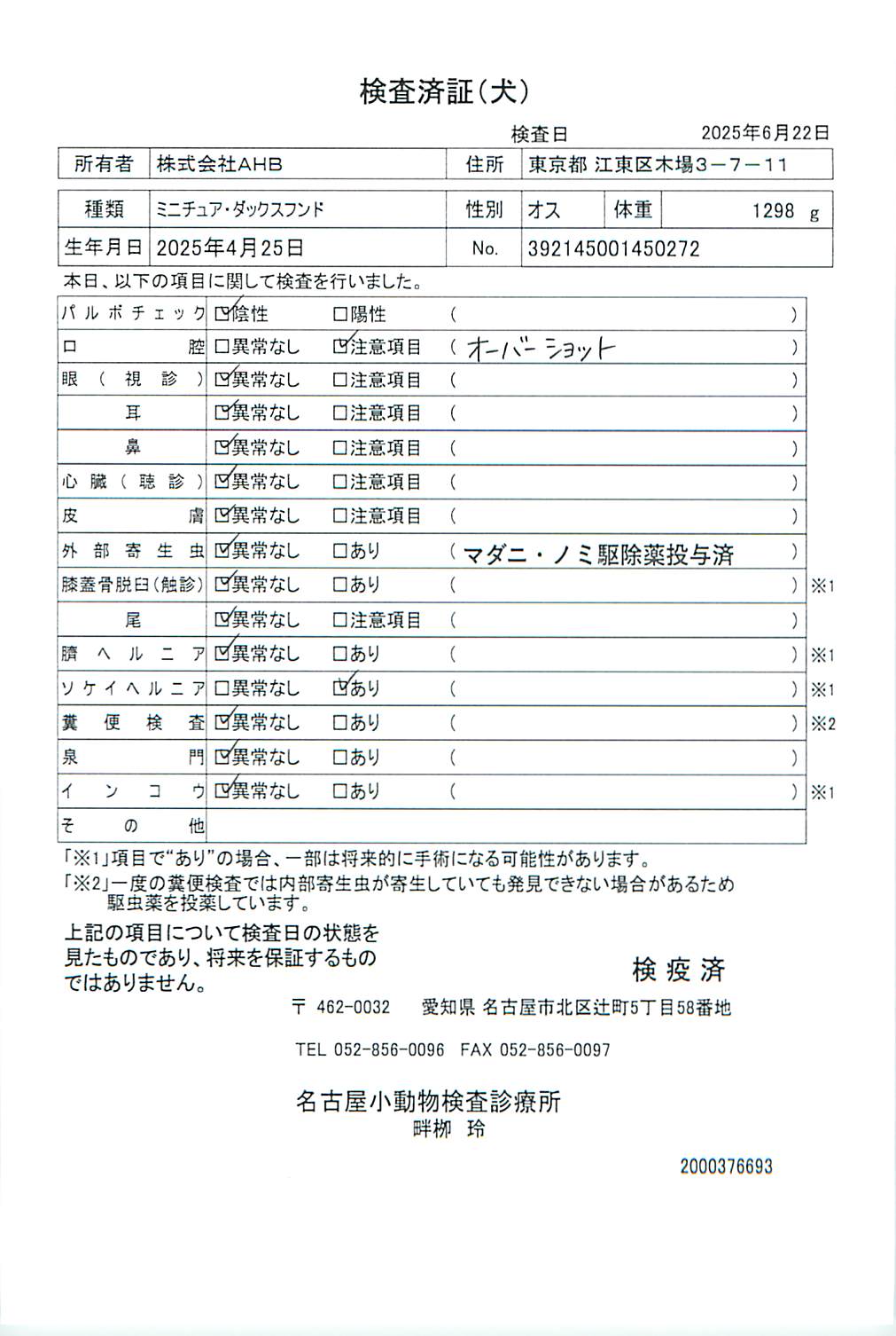 ミニチュア・ダックスフンド