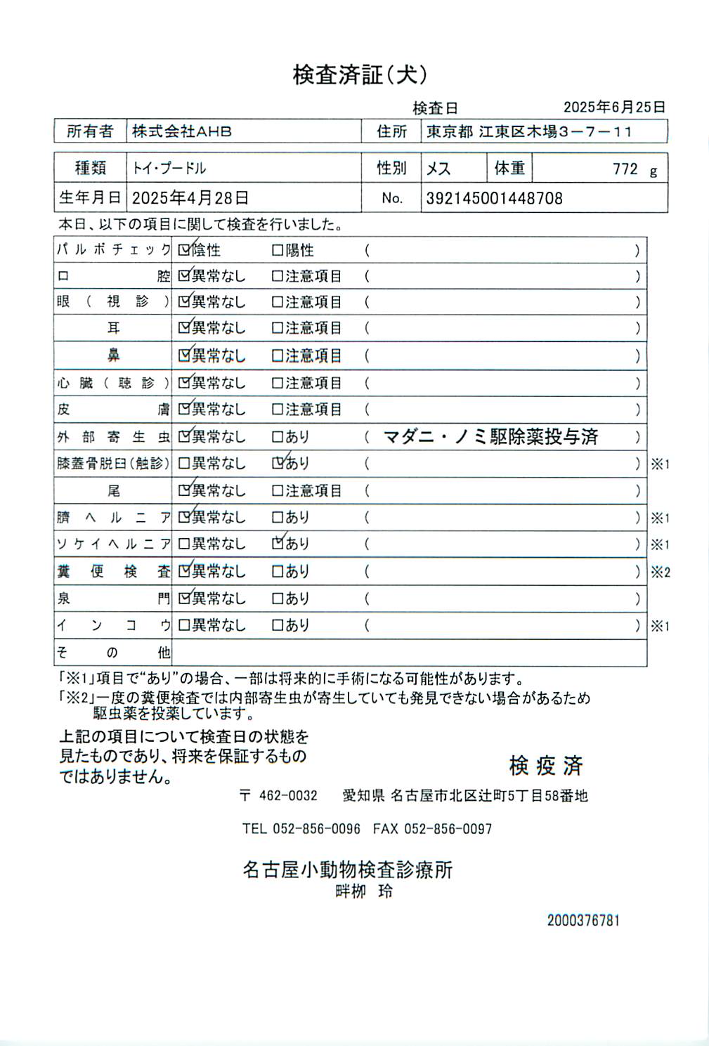 トイ・プードル