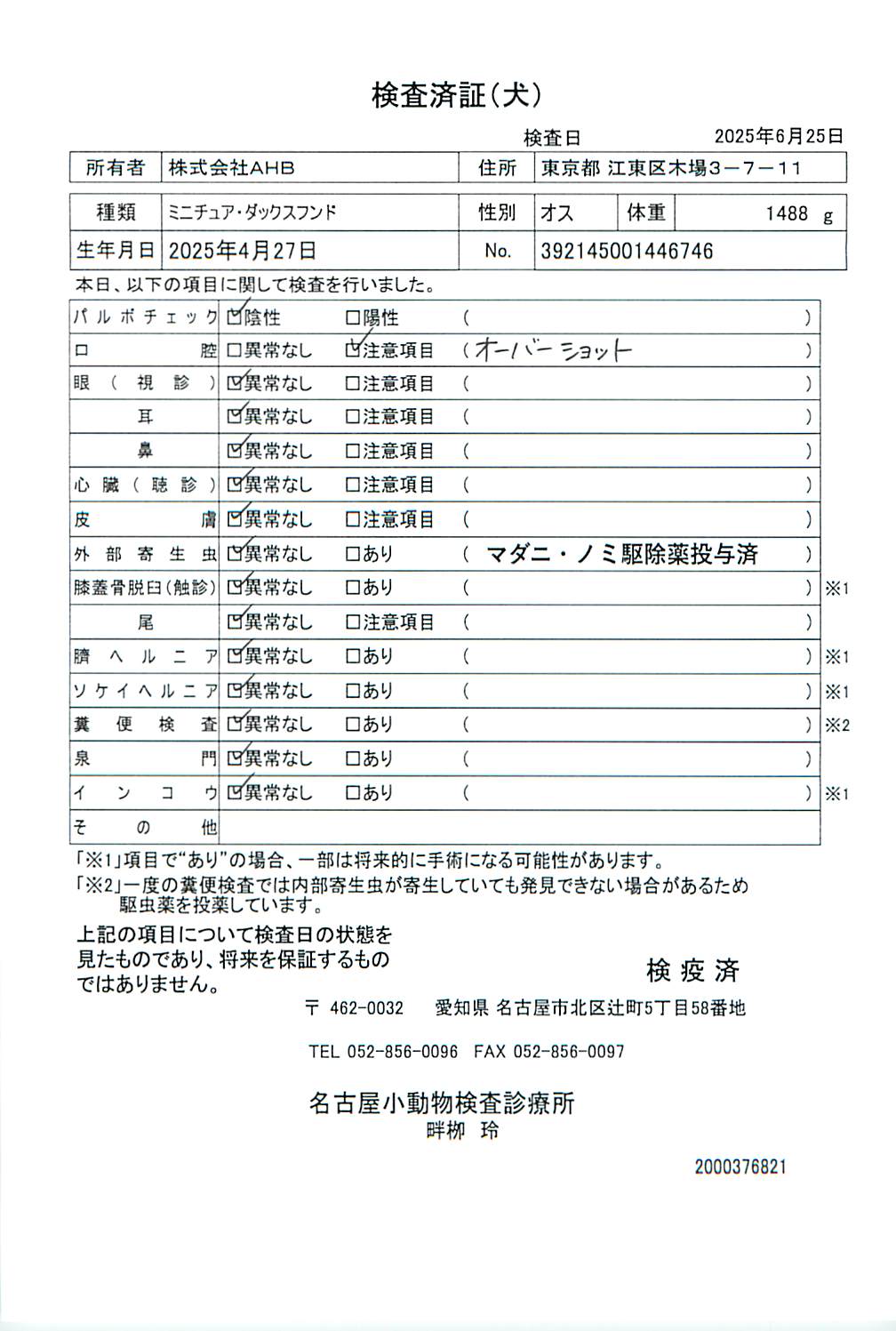 ミニチュア・ダックスフンド