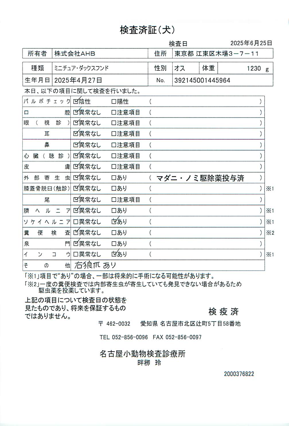 ミニチュア・ダックスフンド