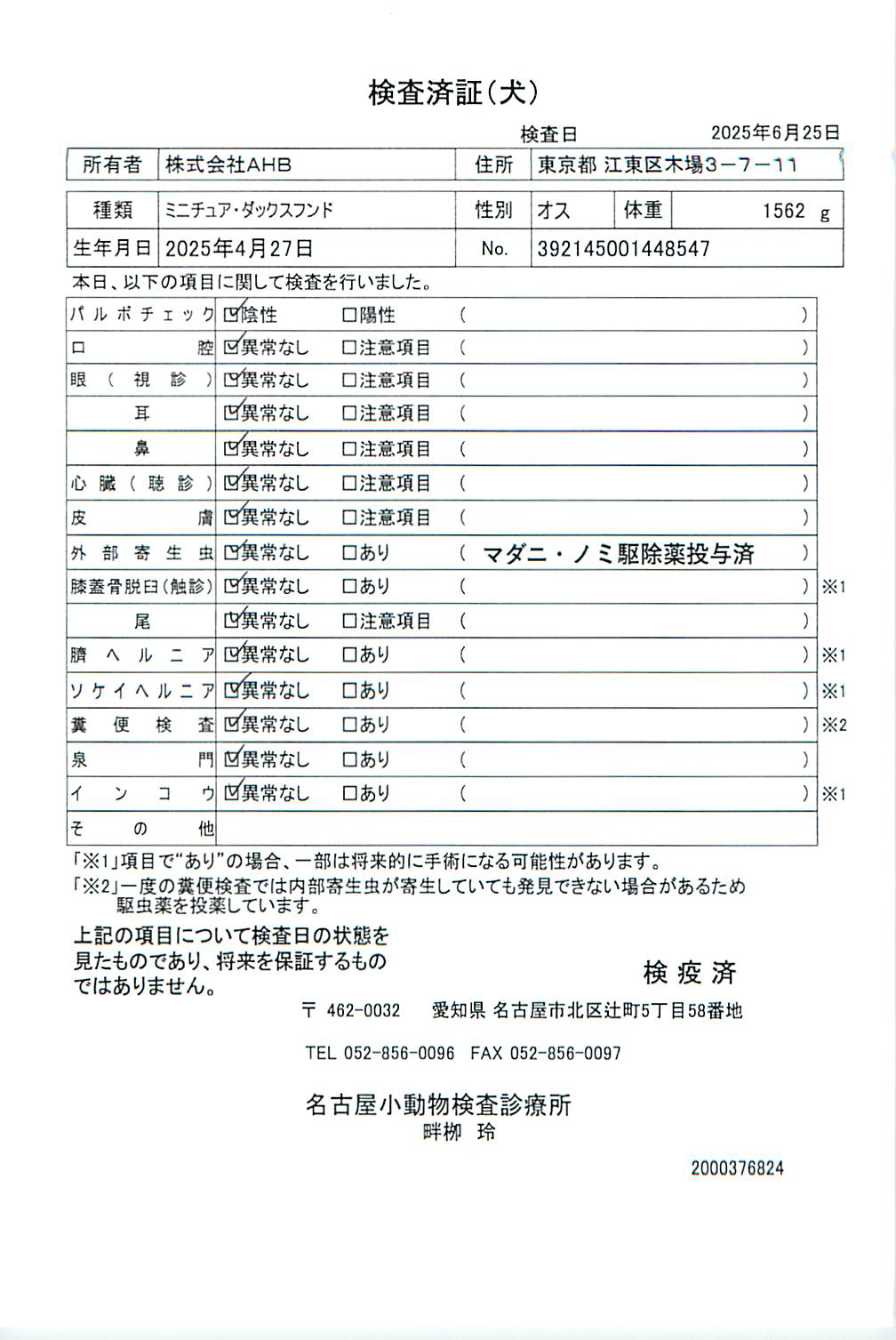 ミニチュア・ダックスフンド