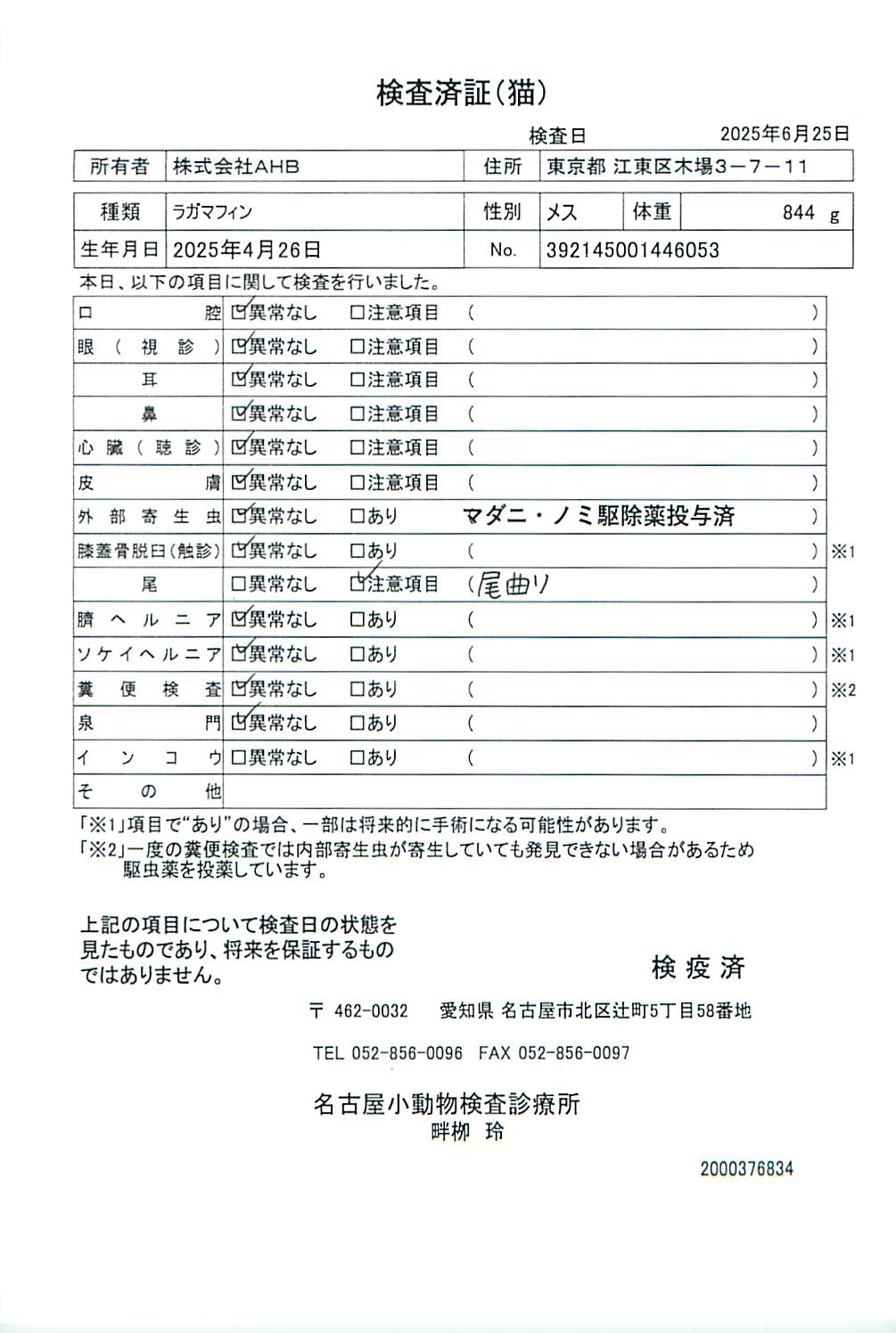 ラガマフィン