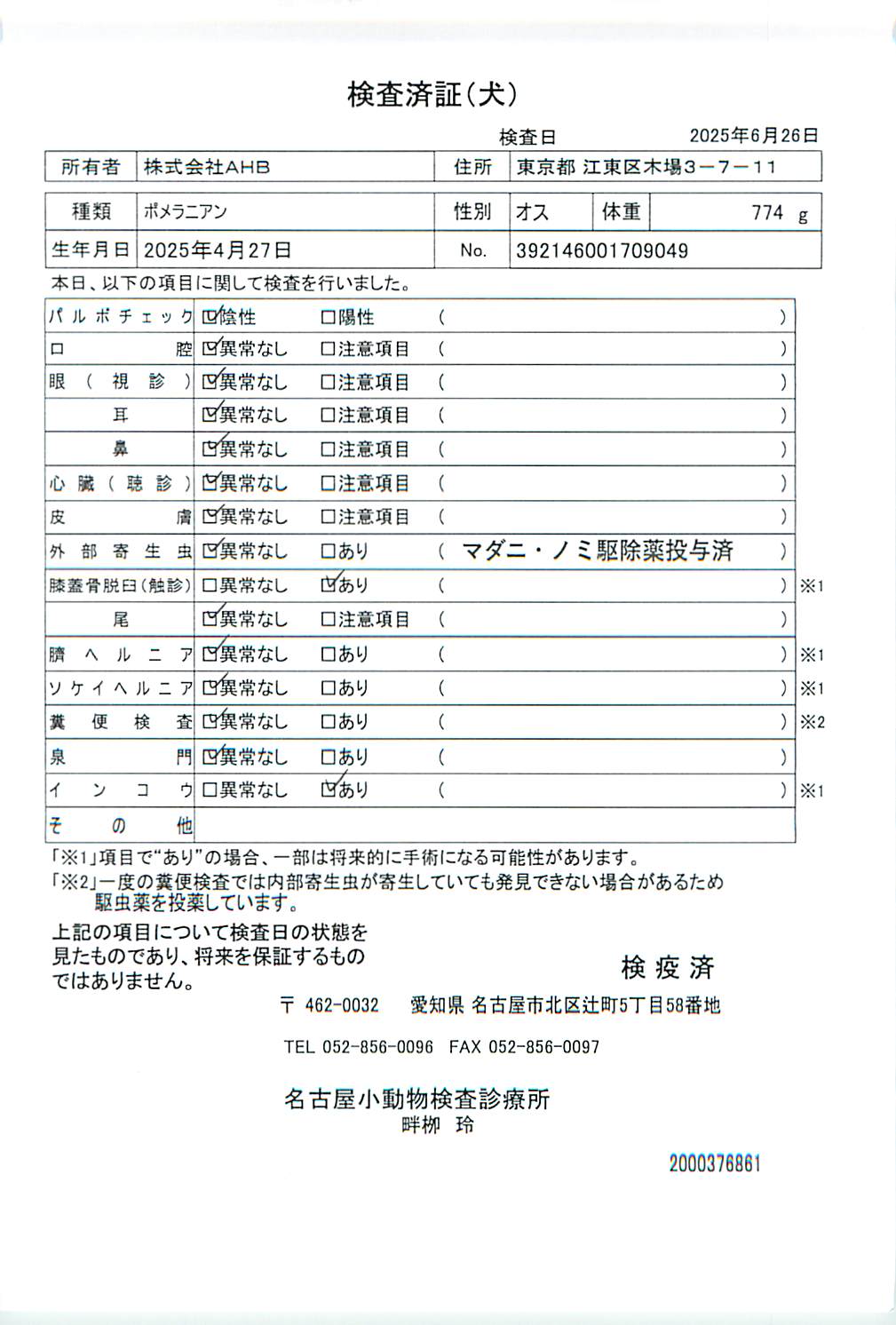 ポメラニアン