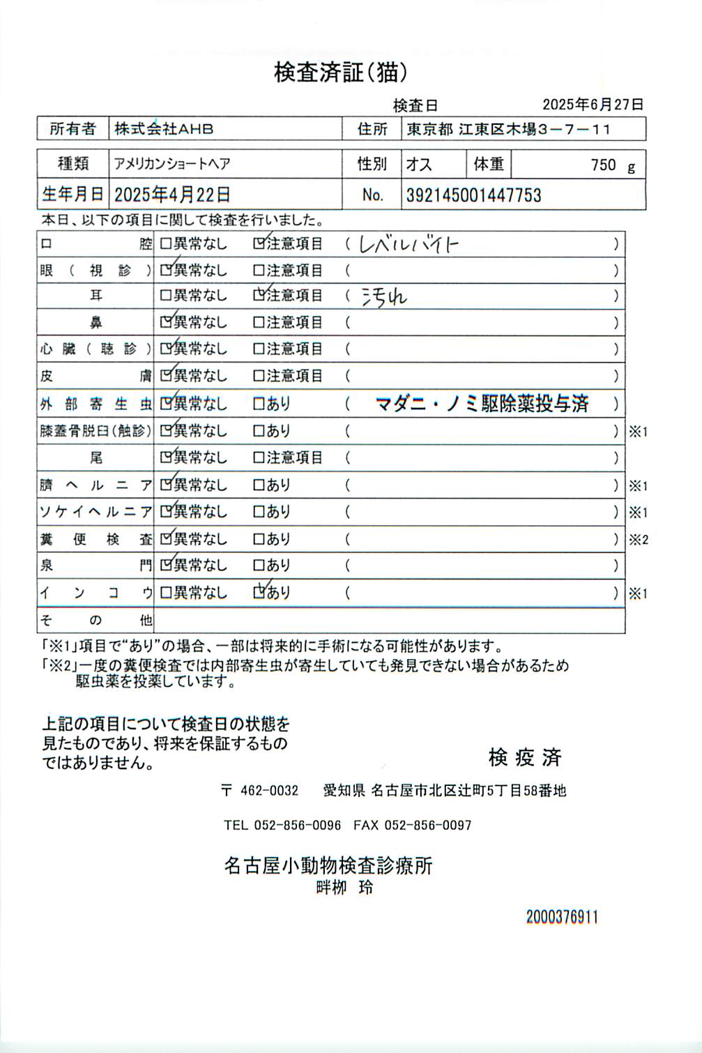 アメリカンショートヘア
