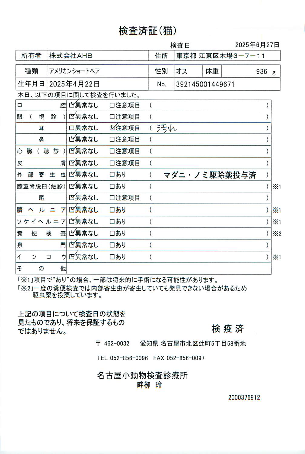 アメリカンショートヘア